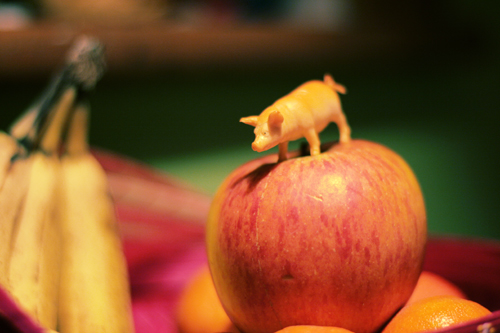piggy apple