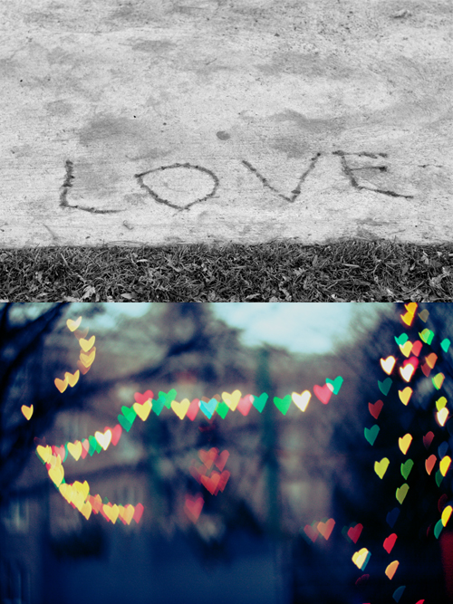 img_8530-copy img_8530-copy