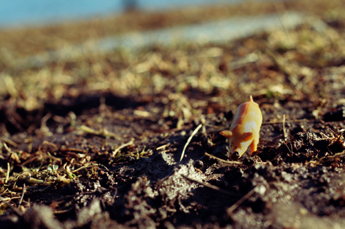 wil in the mud wil in the mud