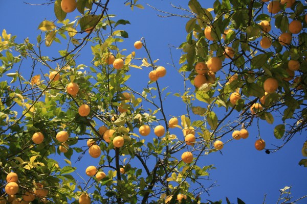 jeanine-002 jeanine-002