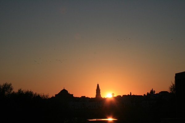 jeanine-009 jeanine-009