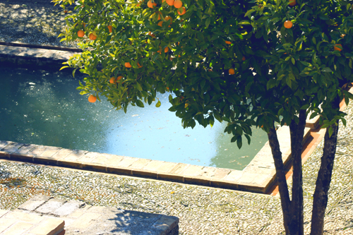 cboostxrefine cboostxrefine