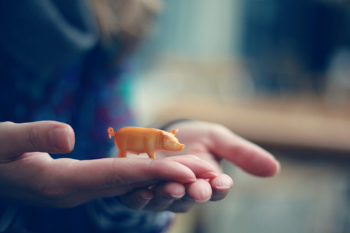 wilbur meets susannah and just loooooves her!