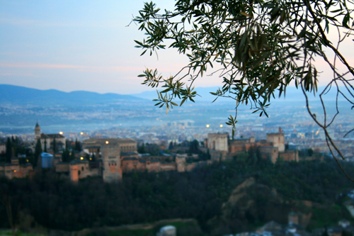 img_2894-copy img_2894-copy