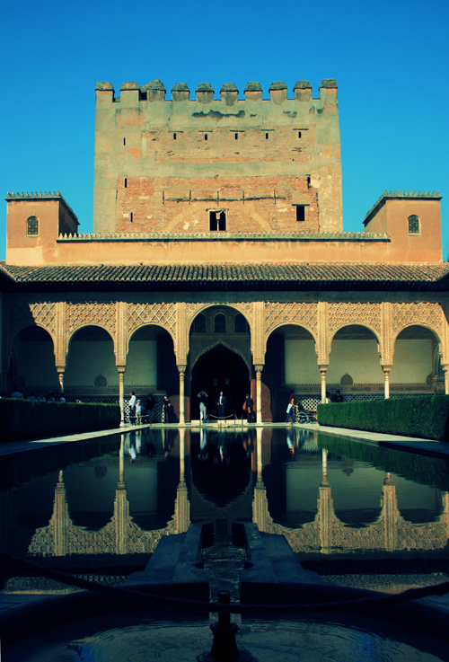 img_3018-copy-2 img_3018-copy-2