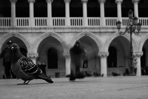 IMG_4216 copy IMG_4216 copy