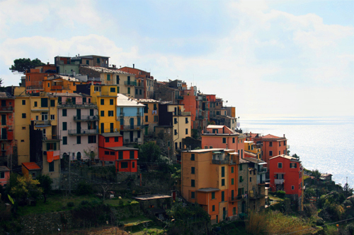 IMG_5546 copy IMG_5546 copy