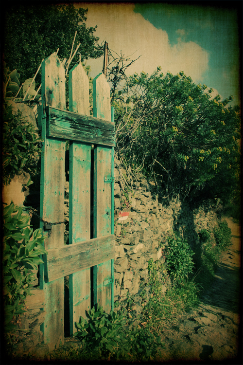 IMG_5676 copy IMG_5676 copy