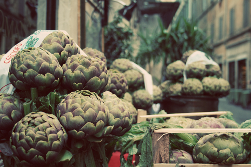 IMG_6341 copy IMG_6341 copy