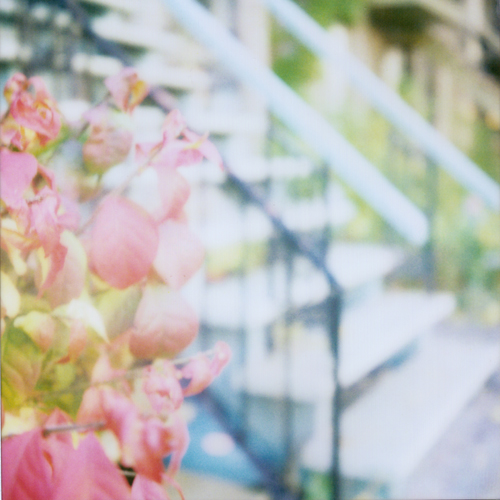 red leaves, blue stairs copy 2