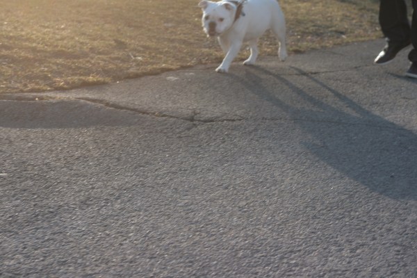 4442341005_410d0d621d_b