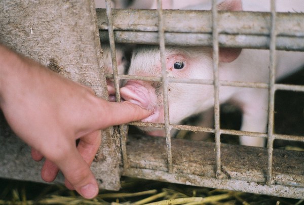 6079979971_6f3e8f3287_z