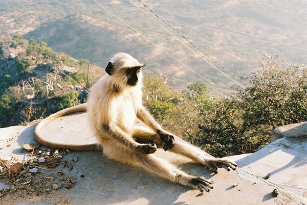 8451292244_eb01f73f1a_z